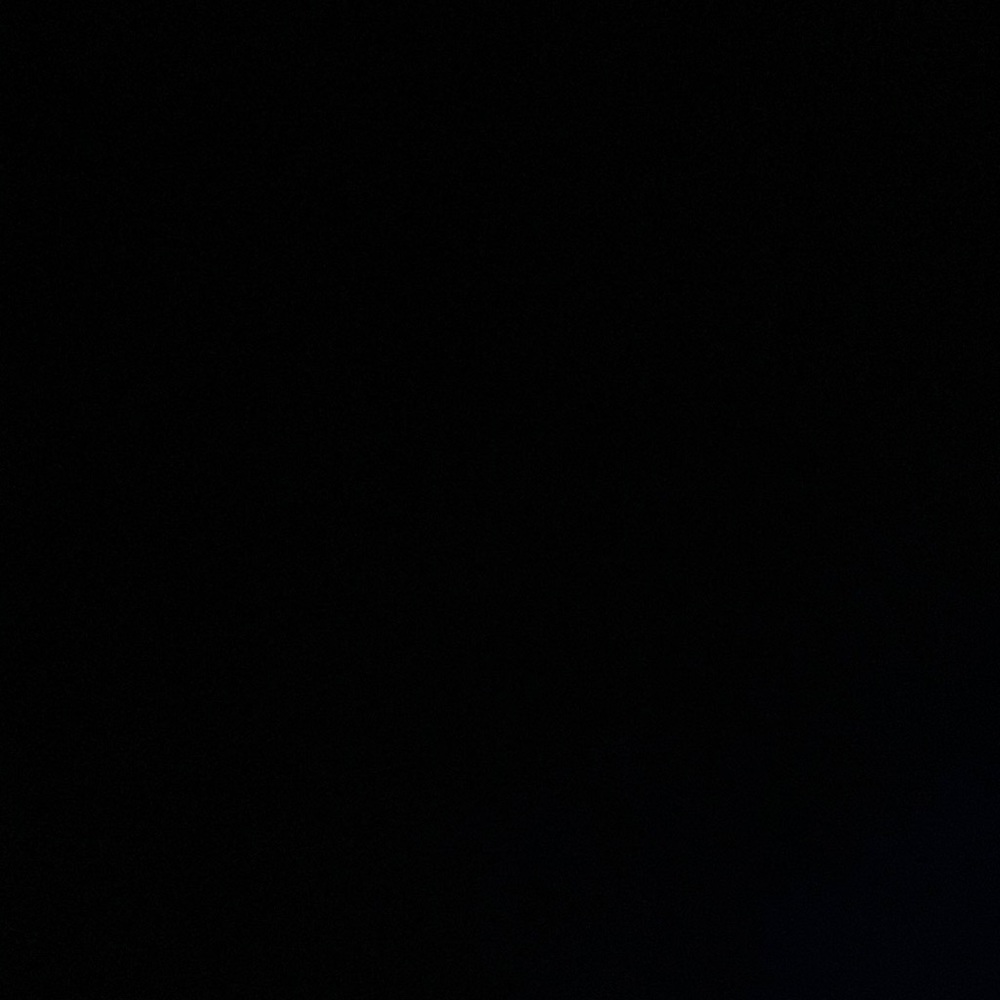 IGNORE